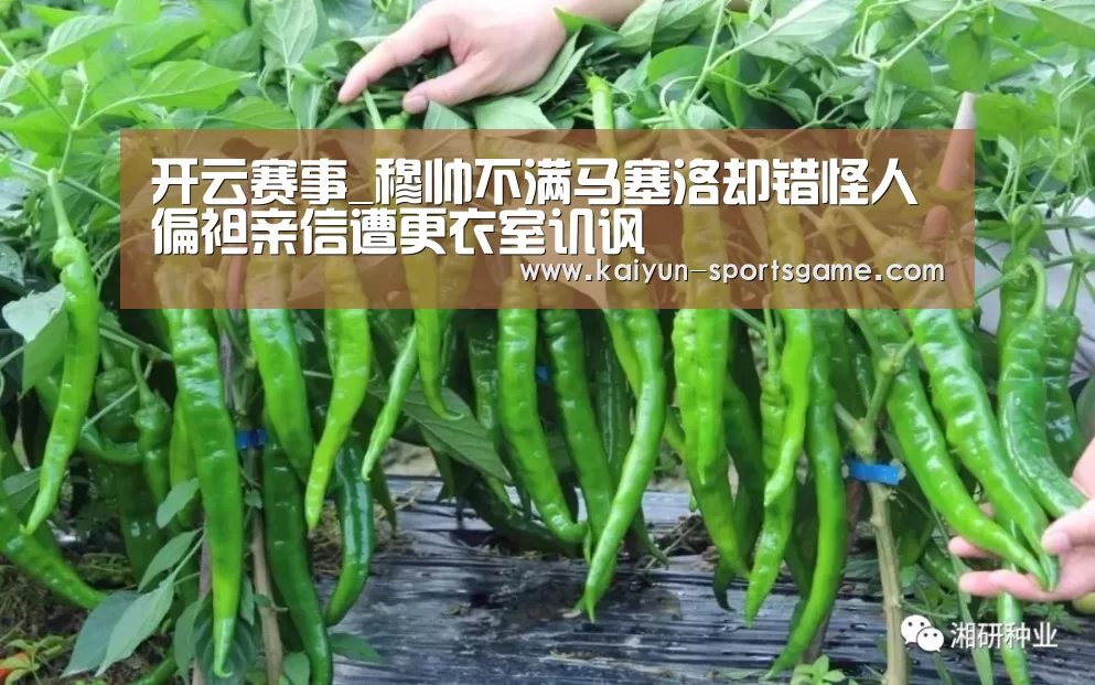 开云赛事_穆帅不满马塞洛却错怪人偏袒亲信遭更衣室讥讽(图2) 开云篮球